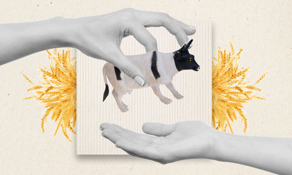 a model cow toy being handed from one person's hand to another