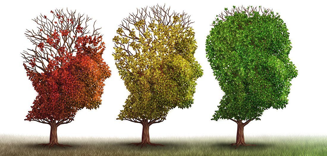 Dementia - 3 trees in different seasonal stages