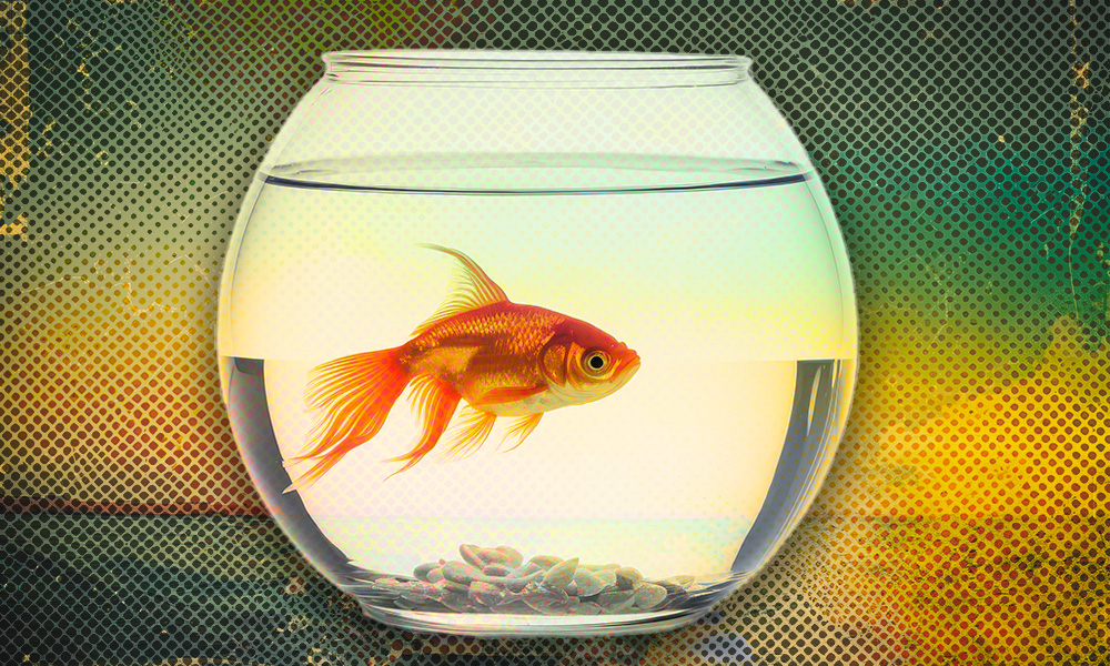  A goldfish in a small bowl symbolizes navigating estate planning without traditional heirs