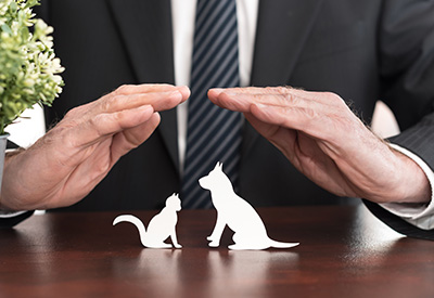 Hands sheltering paper cutouts of a dog and cat, representing the importance of pet trusts in estate planning without heirs