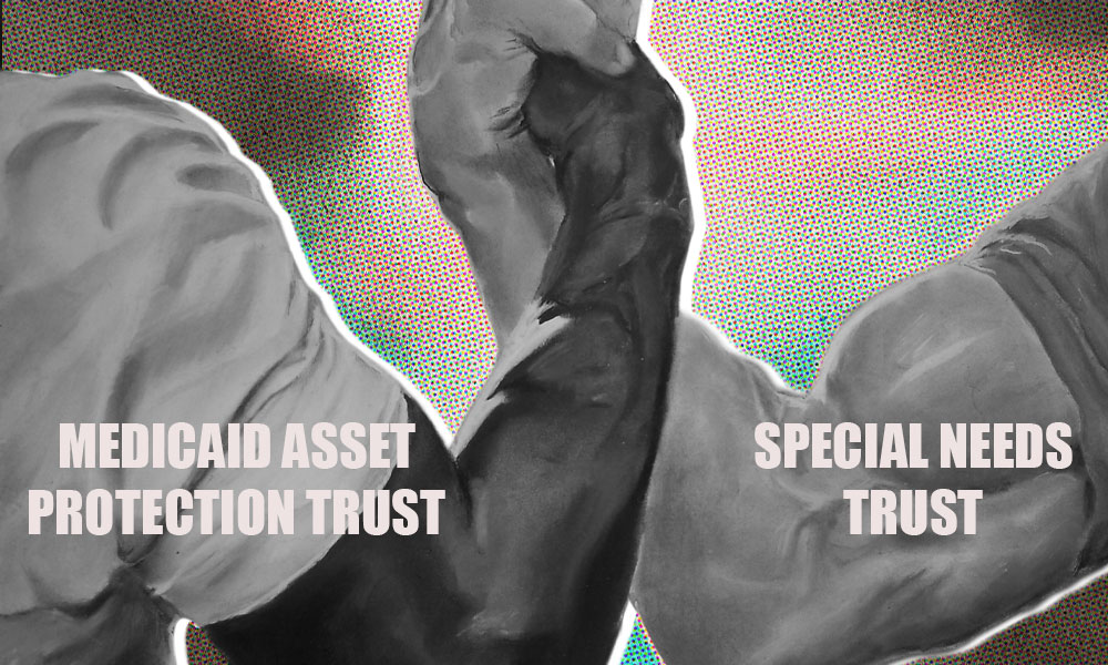 Two muscular arms in black and white are clasped in a handshake, symbolizing unity. The left arm displays 'Medicaid Asset Protection Trust,' while the right arm reads 'Special Needs Trust.'