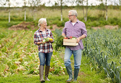 elderly couple carrying harvested crops from garden