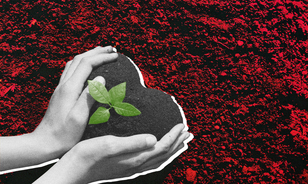 A pair of hands gently cradles a small mound of soil with a young green plant growing from it