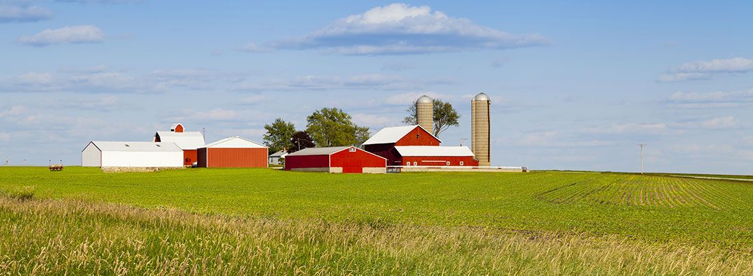 Estate plans are important for owners of farms - Farm landscape