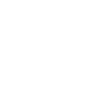 Gavel icon